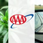 Fatal road crashes involving marijuana double after drug legalization