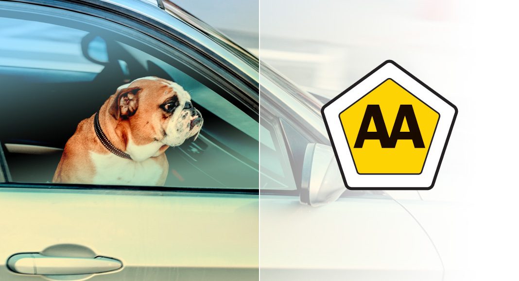 AA South Africa warns drivers not to leave children or pets in vehicles