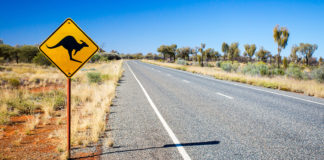 The survey – conducted by the Australian Automobile Association (AAA) throughout the election campaign – confirms that traffic congestion rates as the number one priority in metropolitan seats, but the biggest priority in rural and regional areas is road safety.