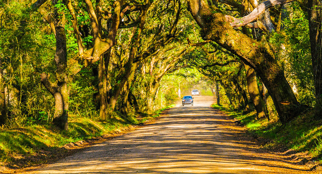 South Carolina’s rural roads have the highest traffic fatality rate in the nation, according to a recent report published by TRIP, a national transportation research group. The report, Rural Connections: Challenges and Opportunities in America’s Heartland, evaluates the safety and condition of the nation’s rural roads and bridges and finds that the nation’s rural transportation system is in need of immediate improvements to address deficient roads and bridges, high crash rates, and inadequate connectivity and capacity.