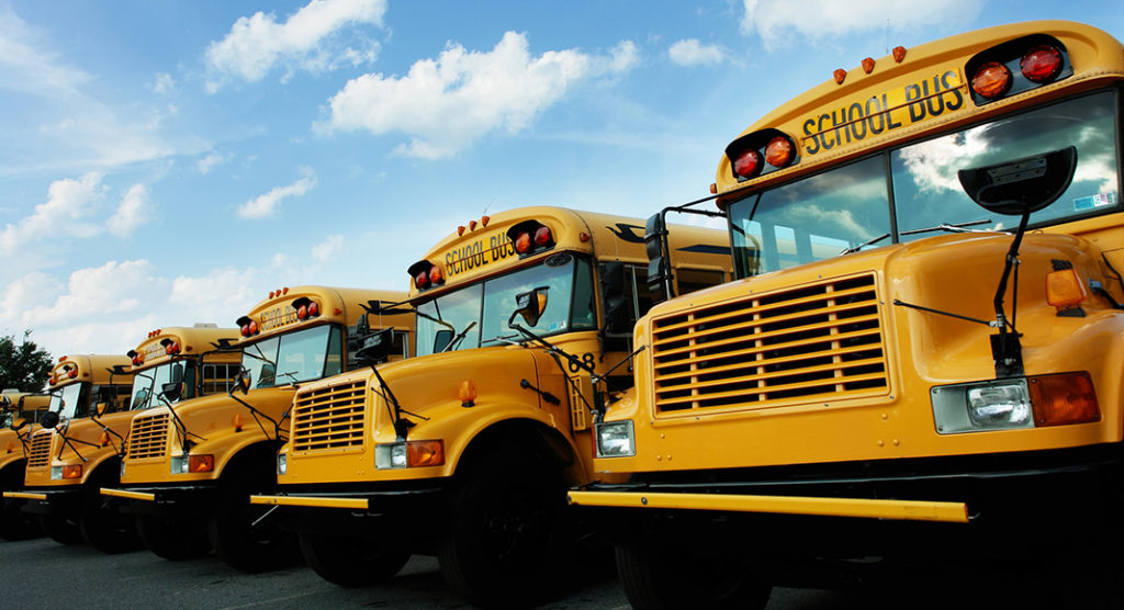 New school buses with seat belts ready for regional NSW Three60 by