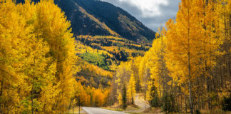 The Colorado Department of Transportation has stressed the importance for drivers and those taking photos outside of their vehicles to watch out for each other.