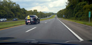 Researchers dressed an enormous stuffed bear in a high-visibility jacket and strapped it to the back of a car and then compared whether three different groups of drivers noticed the bizarre tailpiece when the vehicle overtook them.