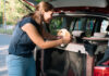A new survey of British Columbians reveals that while travelling with pets is common, many drivers are putting themselves, their passengers, and their animals at risk by not properly securing their pets in vehicles.