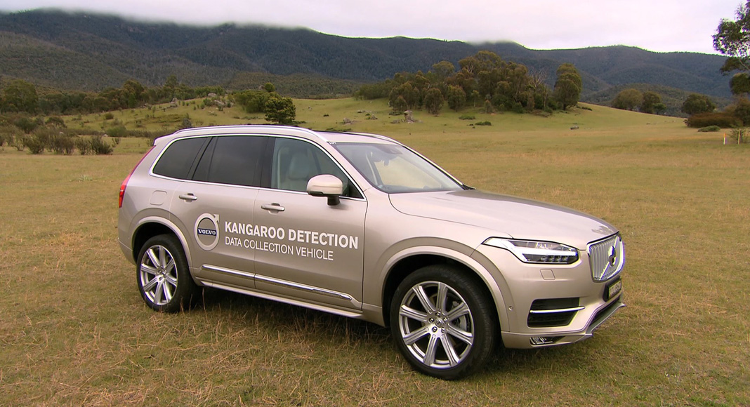 Hopping mad? Volvo carries out ‘Kangaroo detection research’